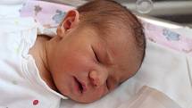 Darina Mykhaylo se narodila 25. září 2017 s váhou 3380 gramů a mírou 50 centimetrů. Doma ve Zruči nad Sázavou se na ni těšili rodiče Petro a Maria. 