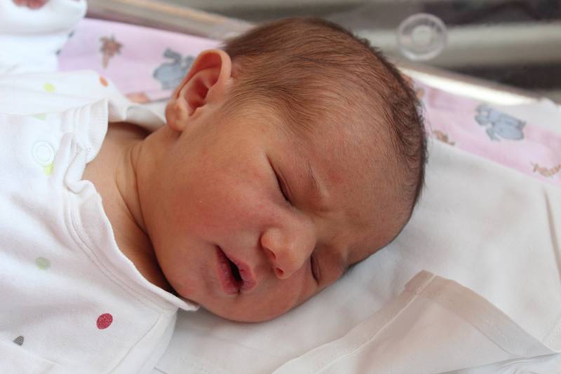 Darina Mykhaylo se narodila 25. září 2017 s váhou 3380 gramů a mírou 50 centimetrů. Doma ve Zruči nad Sázavou se na ni těšili rodiče Petro a Maria. 