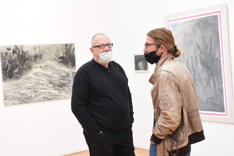 Z vernisáže výstavy obrazů výtvarníka Ondřeje Malečka v Galerii města Kolína.