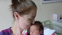 Anna Víznerová se narodila 30. září 2022 v kolínské porodnici, vážila 2830 g a měřila 48 cm. V Plaňanech ji přivítal bráška Domča (5) a rodiče Lucie a Milan.