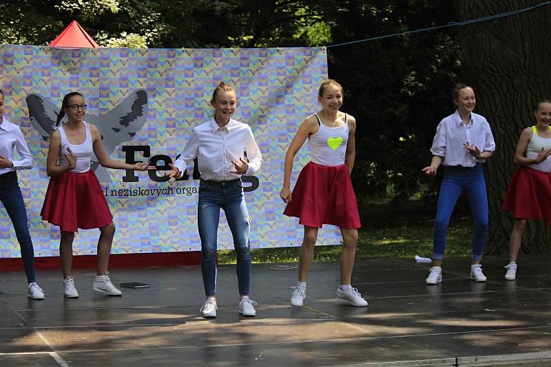 V sobotu se u pivovarského rybníka v Českém Brodě konal festival neziskových organizací.
