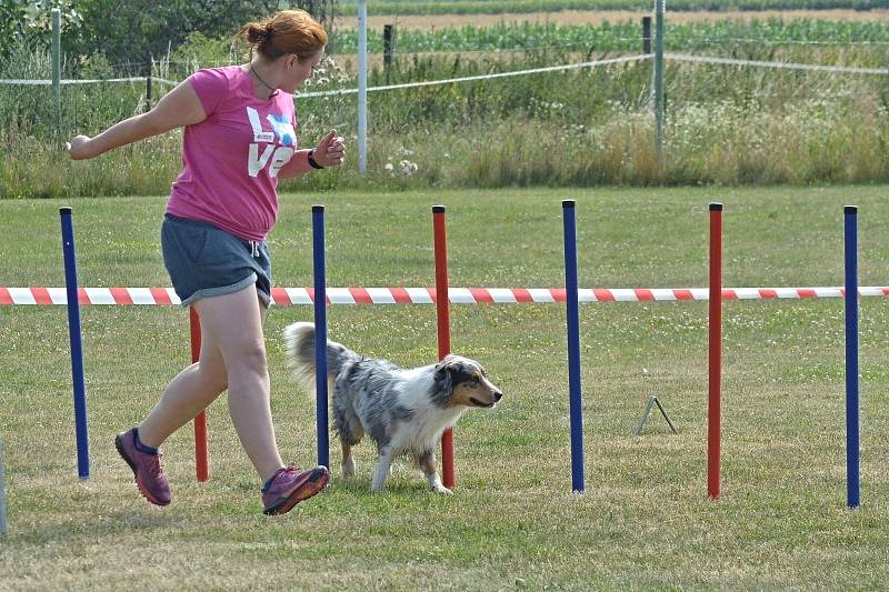 Agility v Ratenicích.