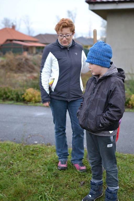 Radimští vysadili ovocnou alej.