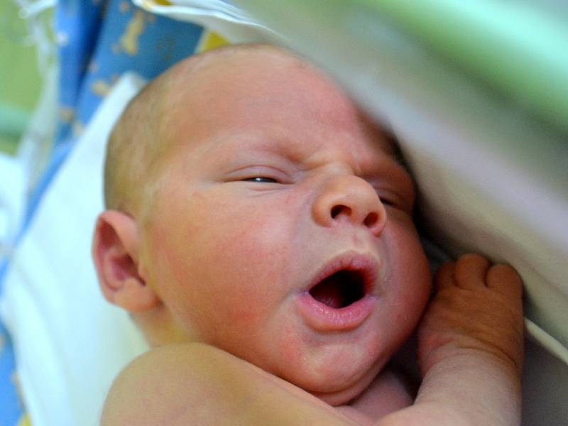 Prvním potomkem maminky Moniky a tatínka Davida z Cerhýnek je syn. František Harapes se narodil 11. května 2014 s mírami 50 centimetrů a 3200 gramů.