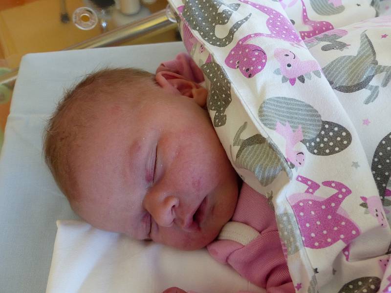 Majdaléna Sixtová se narodila 18. července 2019 s mírami 4540 g a 55 cm v kolínské porodnici. V Potěhách bude bydlet s bráškou Ondřejem (2) a rodiči Kateřinou a Ondřejem.