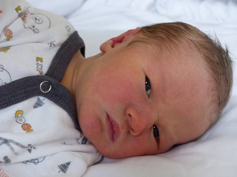 Alex Linhart se narodil 9. listopadu 2019 v kolínské porodnici, vážil 3725 g a měřil 53 cm. V Kolíně bude vyrůstat se sestřičkou Ellen (2) a rodiči Janou a Alešem.