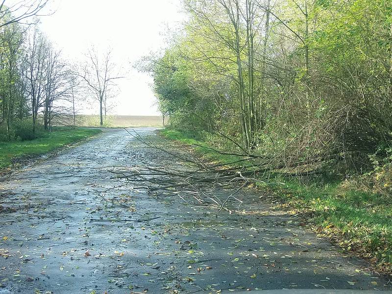 Spadané stromy komplikovaly lidem cestu do práce také na Českobrodsku.