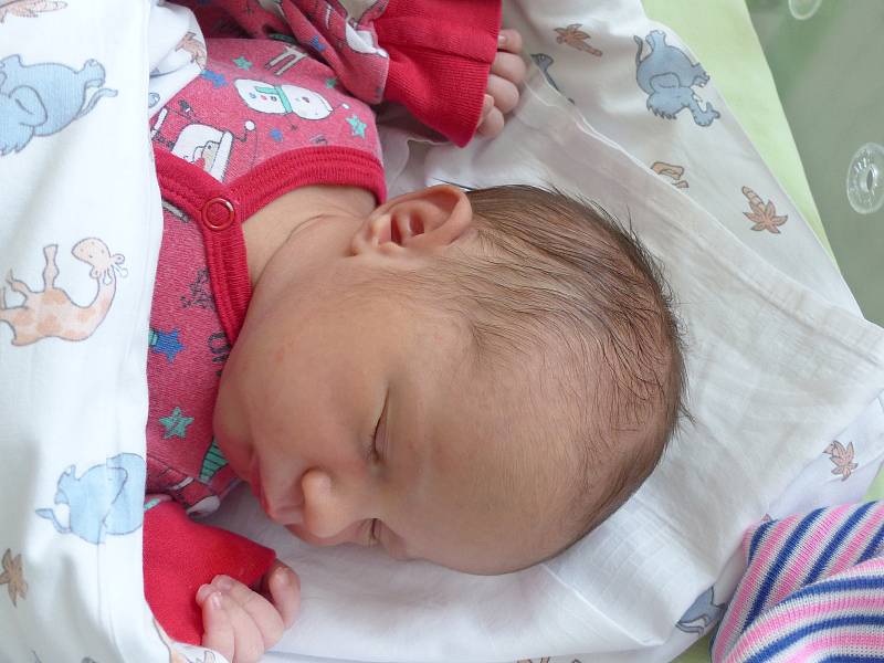 Adéla Vokřálová se narodila 11. července 2022 v kolínské porodnici, vážila 3390 g a měřila 49 cm. Do Poďous odjela se sestřičkou Anežkou  (1.5) a rodiči Lenkou a Danielem.
