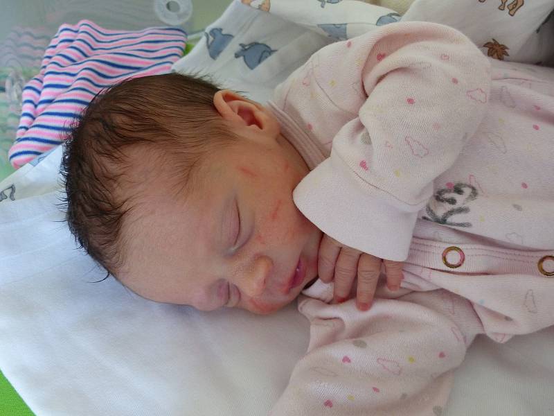 Leontýna Hájková se narodila 11. února 2020 v kolínské porodnici, vážila 2500 g a měřila 46 cm. V Nepoměřicích se z ní těší maminka Irena a tatínek Miloslav.