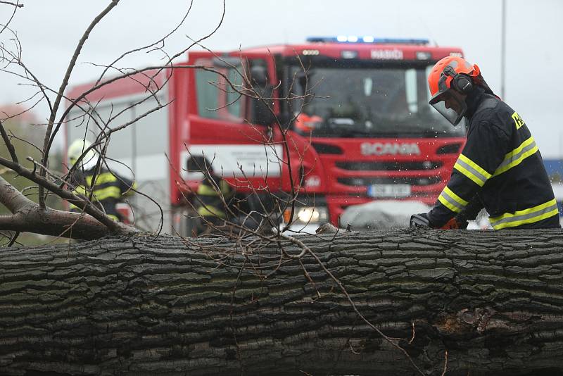 Hasiči likvidují padlý strom u Velimi v neděli 2. května 2021.