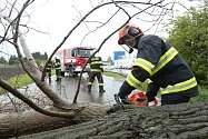 Hasiči likvidují padlý strom u Velimi v neděli 2. května 2021.