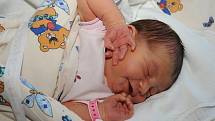Rovných 4 000 gramů vážila a 53 centimetry měřila při svém narození 8. září Elizabeth Mommers, která přibyla k šestileté sestřičce Radce rodičům Radce a Rickovi do Velkého Oseka. 