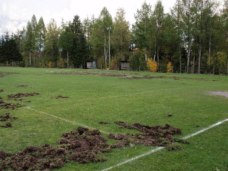 Hřiště v Jevanech zdevastovala divoká prasata