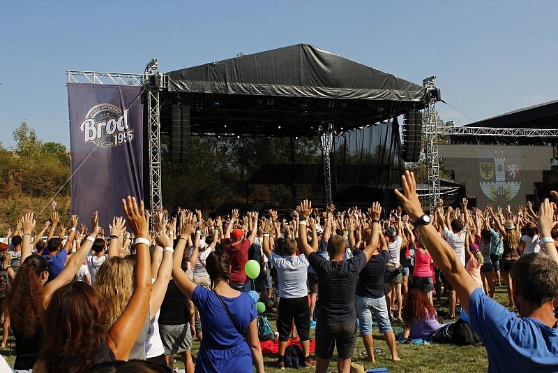 Festival Brod 1995 byl připomínkou začátků dnes již slavného Rock for People, který před lety v Českém Brodě začínal. Vystoupila na něm řada tuzemských hvězd.