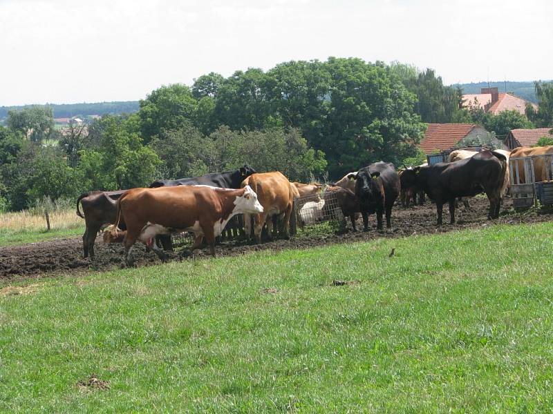 I na Kolínsku najdete téměř podhorskou idylu