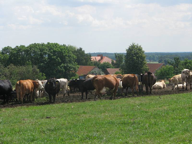 I na Kolínsku najdete téměř podhorskou idylu