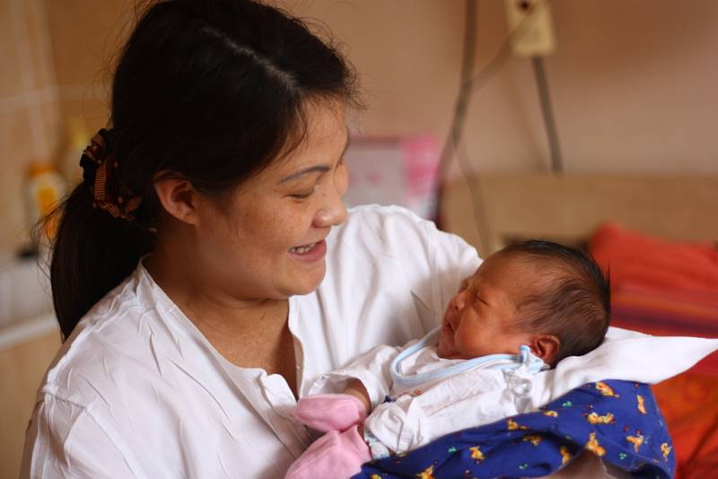 Ngueyn Tien Loi přišel na svět 27. března 2012, a to s výškou 48 centimetrů a váhou 3800 gramů. Maminka Luyen Thi Thu Hoai a tatínek Nguyen Van Minh budou syna vychovávat v Rakovníku.