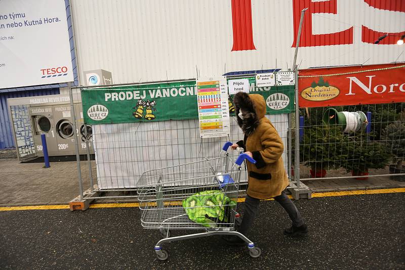 Prodej vánočních stromků a jmelí u hypermarketu Tesco v Kolíně.