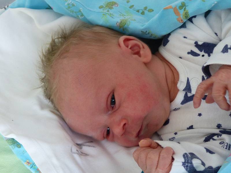 Sebastian Hanuš se narodil 19. ledna 2022 v kolínské porodnici, vážil 3210 g a měřil 50 cm. Do Sadské odjel s maminkou Marií a tatínkem Jakubem.