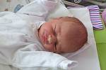 Nikola Podaná se narodila 20. dubna 2022 v kolínské porodnici, vážila 2380 g a měřila 47 cm. V Kutné Hoře se z ní těší maminka Aneta a tatínek Vojtěch.