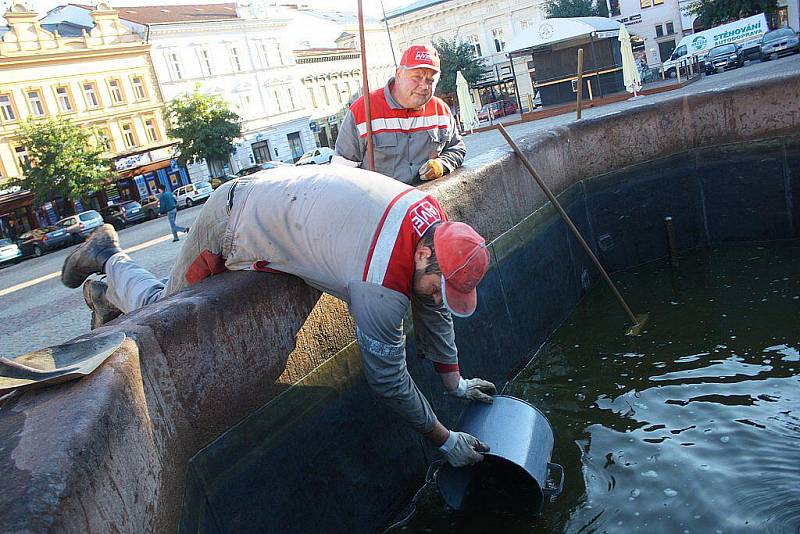 V kolínské kašně objevili pracovníci AVE dvacítku ryb