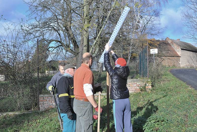 Lidé si mohli zasadit svůj strom.