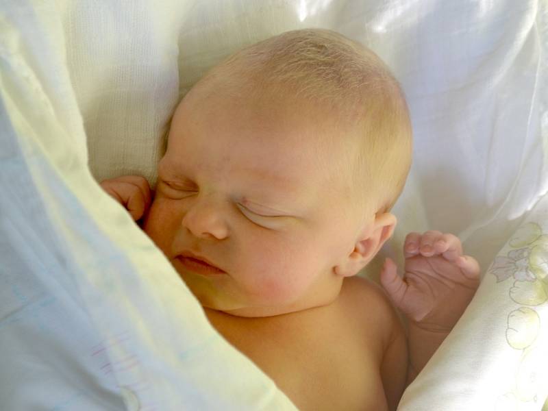 Eliška Dvořáková se 4. září 2013 stala prvorozenou dcerou maminky Ivany a tatínka Pavla. Vážila 3030 gramů a měřila 48 centimetrů. Rodina žije v Kutné Hoře – Malíně.