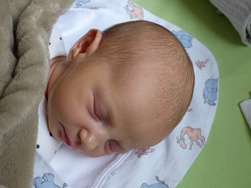 Viktorie Písaříková se narodila 26. listopadu 2021 v kolínské porodnici, vážila 3420 g a měřila 50 cm. V Dobřeni bude vyrůstat s maminkou Nikolou a tatínkem Pavlem.