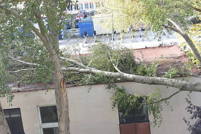 Větev, která spadla na výměník v ulici Vrchlického.