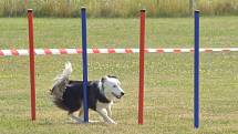 Agility v Ratenicích.