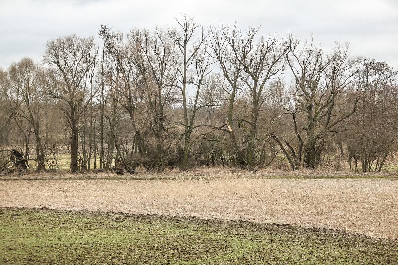 Kudy by měla vést vysokorychlostní trať? Okolím křižovatky na silnici I/12 mezi obcemi Chotouň a Třebovle.