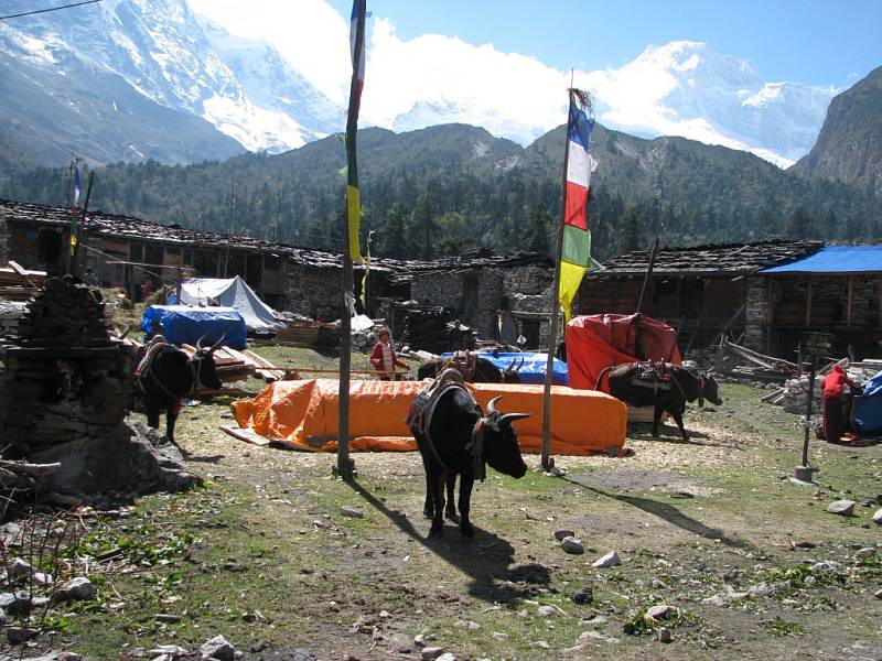 Petr Kejklíček zažil při výstup na Manaslu spoustu dobrodružství.