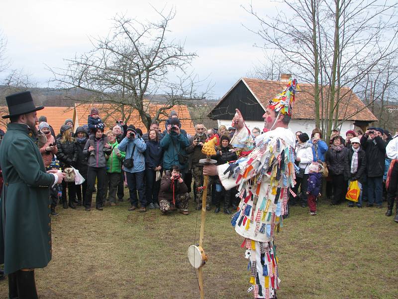 Národopisný pořad na téma lidového masopustu přilákal do skanzenu obrovské množství návštěvníků.