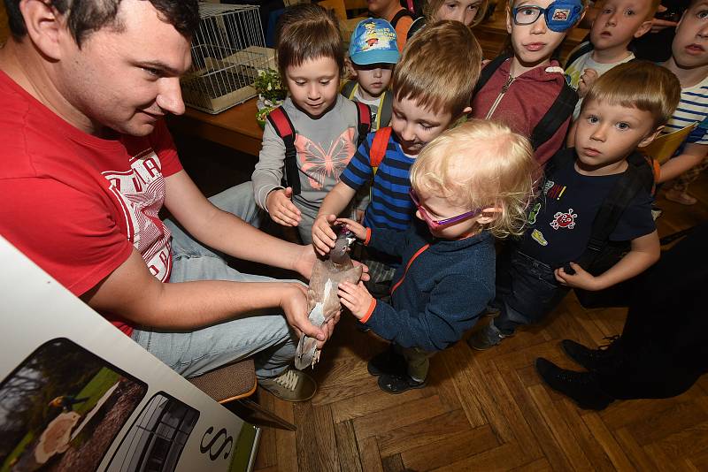 Městský společenský dům -  výstava o životním prostředí duben 2018