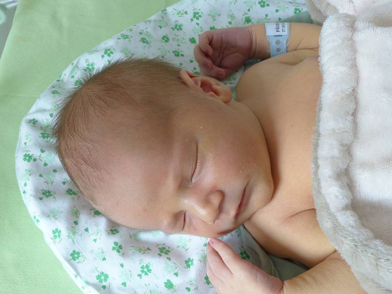 Mikuláš Přibek se narodil 27. května 2022 v kolínské porodnici, vážil 3635 g a měřil 51 cm. V Pískové Lhotě se z něj těší sestřička Karolína (5) a rodiče Nikol a Tomáš.
