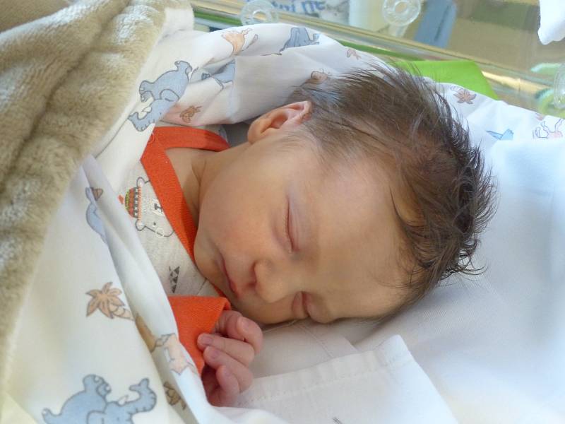 Adina Kotková se narodila 17. listopadu 2019 v kolínské porodnici, vážila 2725 g a měřila 49 cm. V Kolíně se z ní těší maminka Veronika a tatínek Roman.