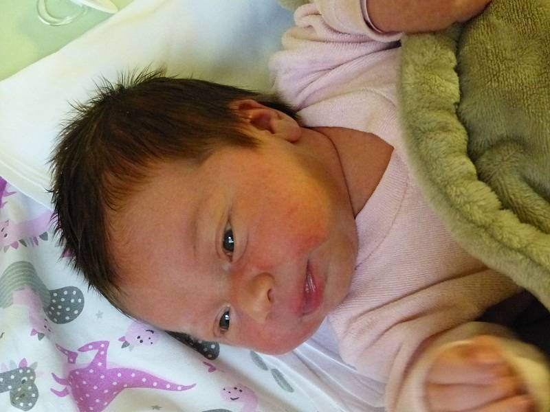 Valeria Mužíková se narodila 15. listopadu 2022 v kolínské porodnici, vážila 3730 g a měřila 51 cm. V Jestřabí Lhotě ji přivítala sestřička Sofi (4) a rodiče Nikola a David.