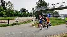 Maratonci různého věku doběhli z Kolína do Poděbrad a zpět v rámci závodu MFB MarathOn Labe letos podruhé.