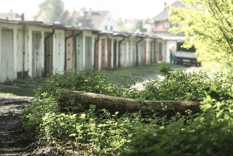 Těžbou dřeva poškozená lesní cesta na Zálabí v Kolíně.