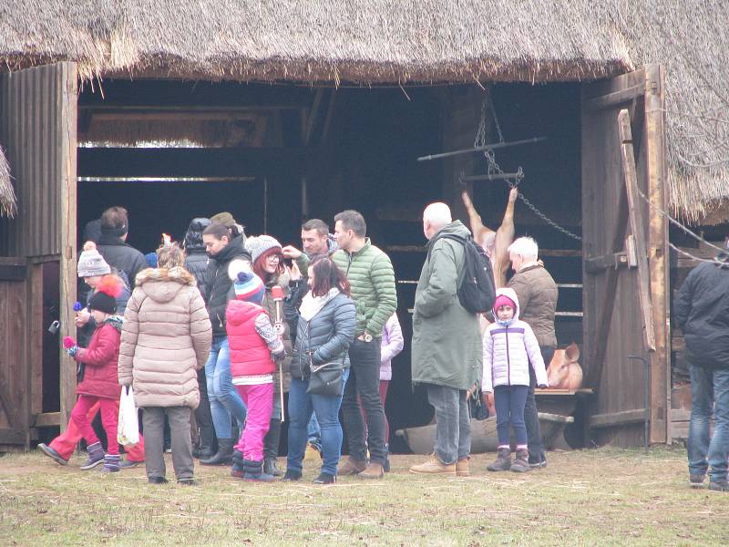 Národopisný pořad na téma lidového masopustu přilákal do skanzenu obrovské množství návštěvníků.