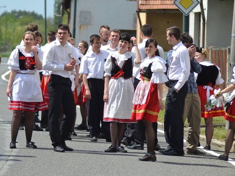 Staročeské máje ve Volárně