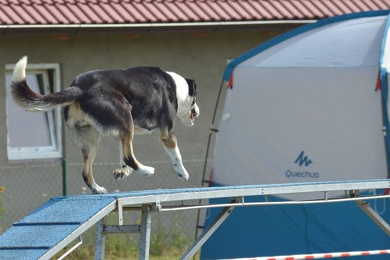 Agility v Ratenicích.