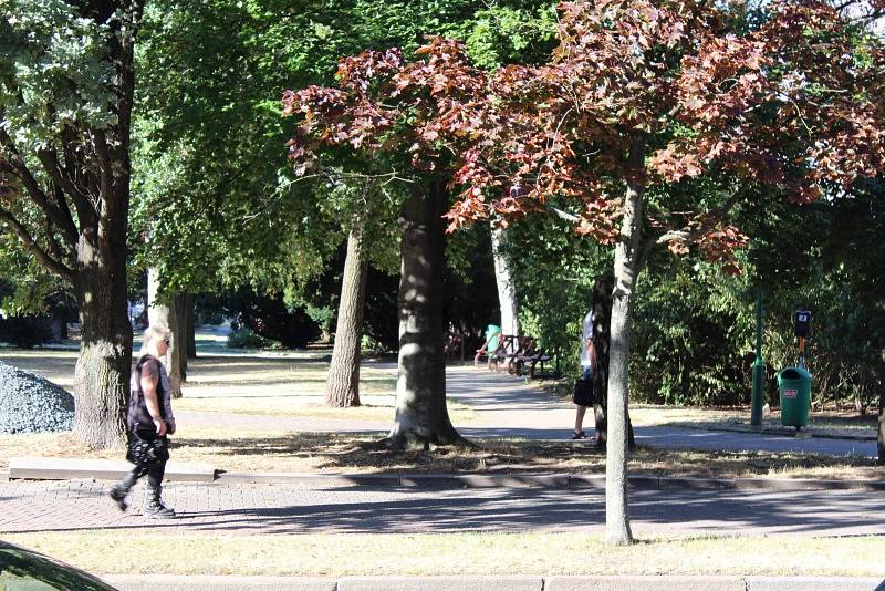 Komenského park v Kolíně.