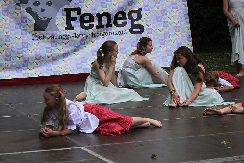 V sobotu se u pivovarského rybníka v Českém Brodě konal festival neziskových organizací.