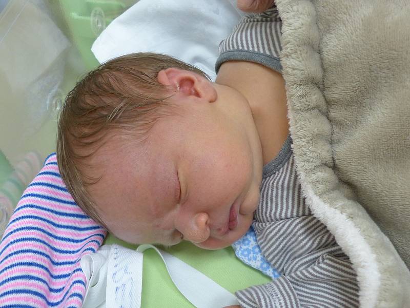 Šimon Kureš se narodil 19. října 2021 v kolínské porodnici, vážil 4515 g a měřil 54 cm. Do Olešky si ho odvezla sestřička Adélka (10) a rodiče Alena a Ivoš.