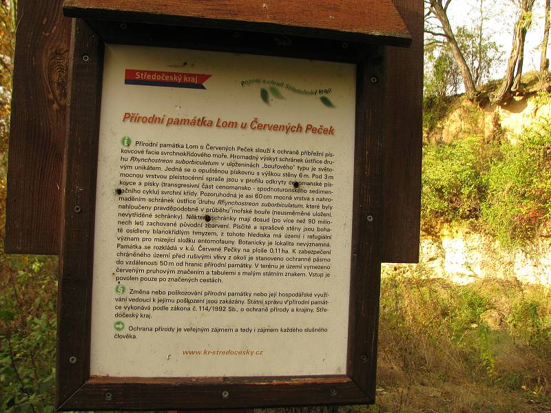 U přírodní památky Lom u Červených Peček poblíž Cihelského rybníku.