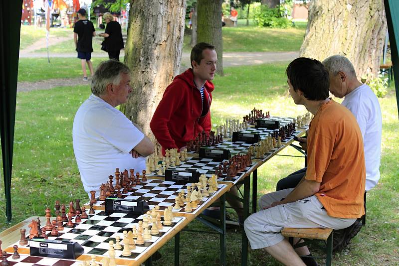 V sobotu se u pivovarského rybníka v Českém Brodě konal festival neziskových organizací.