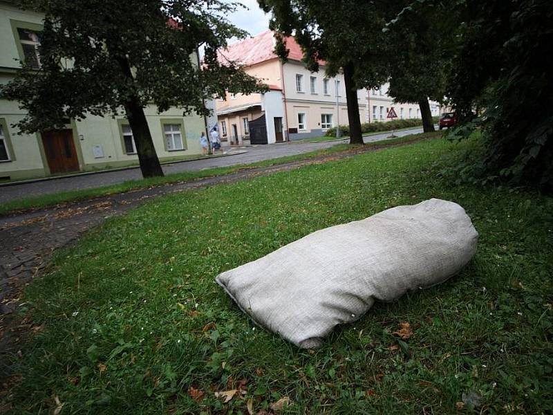 Silná bouřka s krupobitím lámala stromy a komplikovala dopravu, vlaky stále nabírají zpoždění.