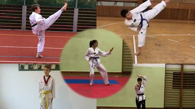 Kolínští taekwondisté ovládli on-line závody Stay Safe Cup 2020