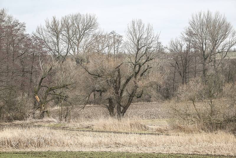 Kudy by měla vést vysokorychlostní trať? Okolím mezi obcemi Miškovice a Klášterní Skalice.